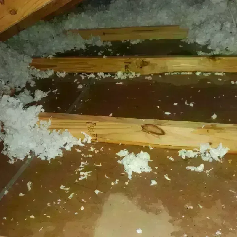 Attic Water Damage in Grand Coulee, WA